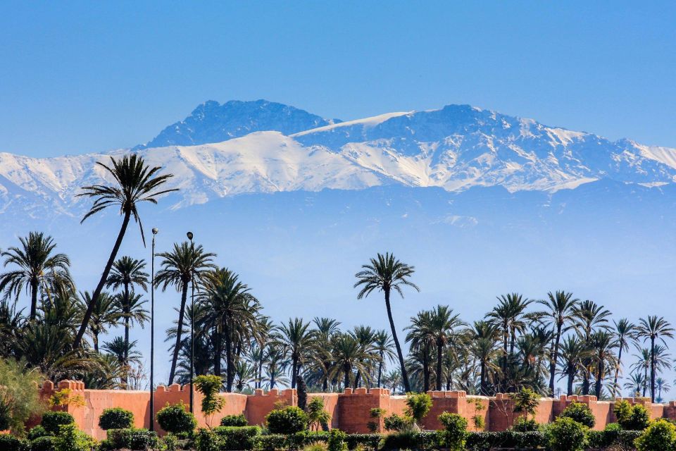 From Agadir: Marrakech Guided Trip With Licensed Tour Guide - Experience Highlights