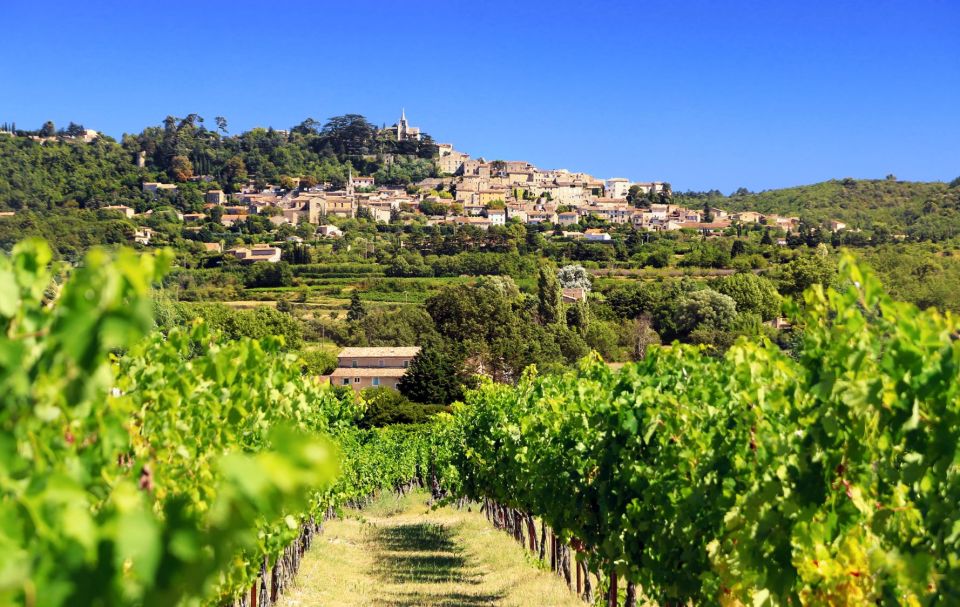 From Aix-En-Provence: Châteauneuf Du Pape Wineries Day Trip - Highlights