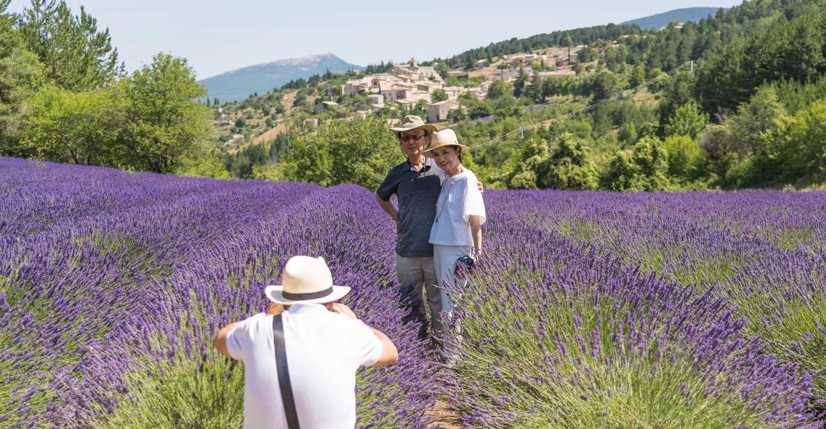 From Aix-en-Provence: Sault Lavender and Gordes Day Trip - Lavender Fields in Sault