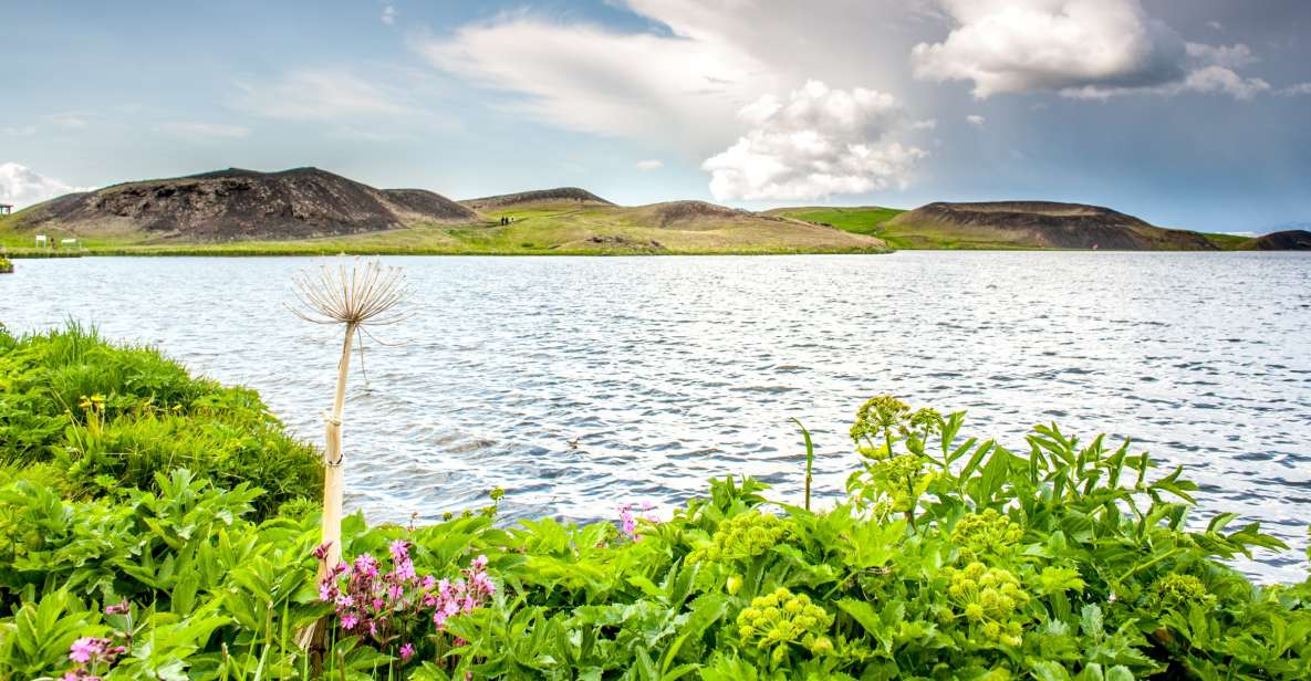 From Akureyri: Lake Mývatn Guided Tour With Lunch - Highlights