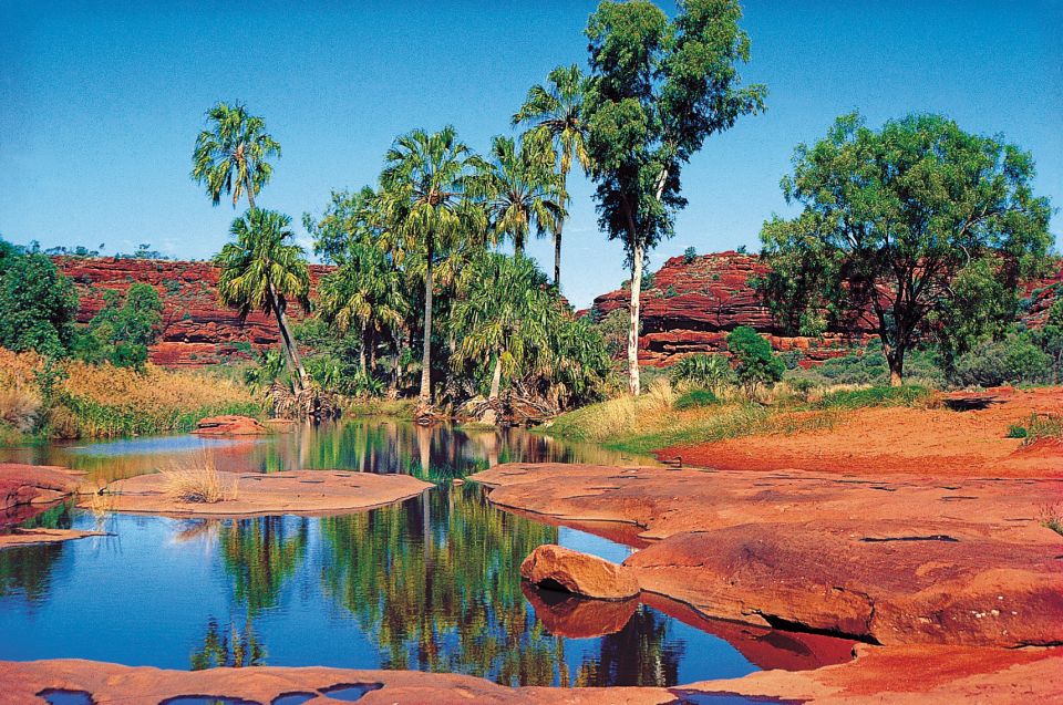 From Alice Springs: Palm Valley 4WD Outback Safari + Picnic - Highlights of the Safari