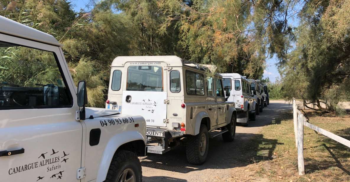 From Arles: Half-Day 4x4 Camargue Safari - Experience Highlights Overview
