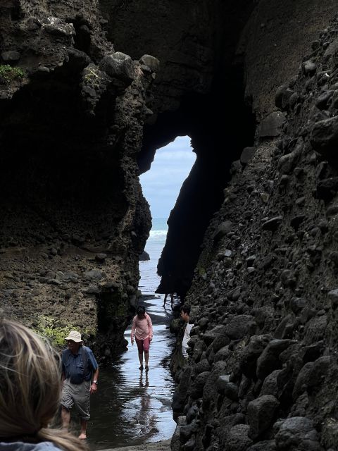From Auckland: Guided Tour of Piha With Scenic Beach Walks - Activity Details