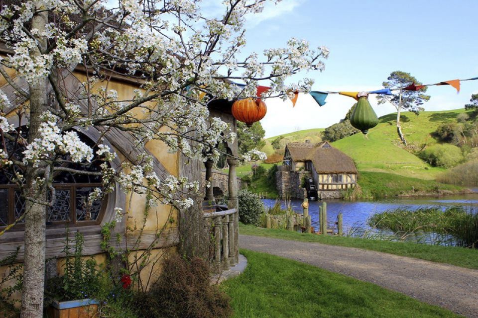 From Auckland: Hobbiton Movie Set Half-Day Trip With Tour - Highlights of the Trip