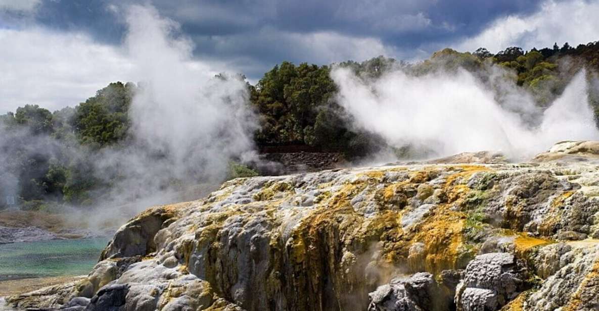 From Auckland: Rotorua Māori Village & Polynesian Spa Tour - Activity Highlights