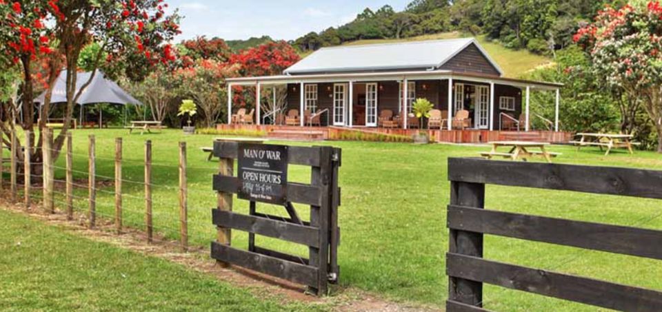 From Auckland: Waiheke Island Wineries' Tour - Experience Highlights