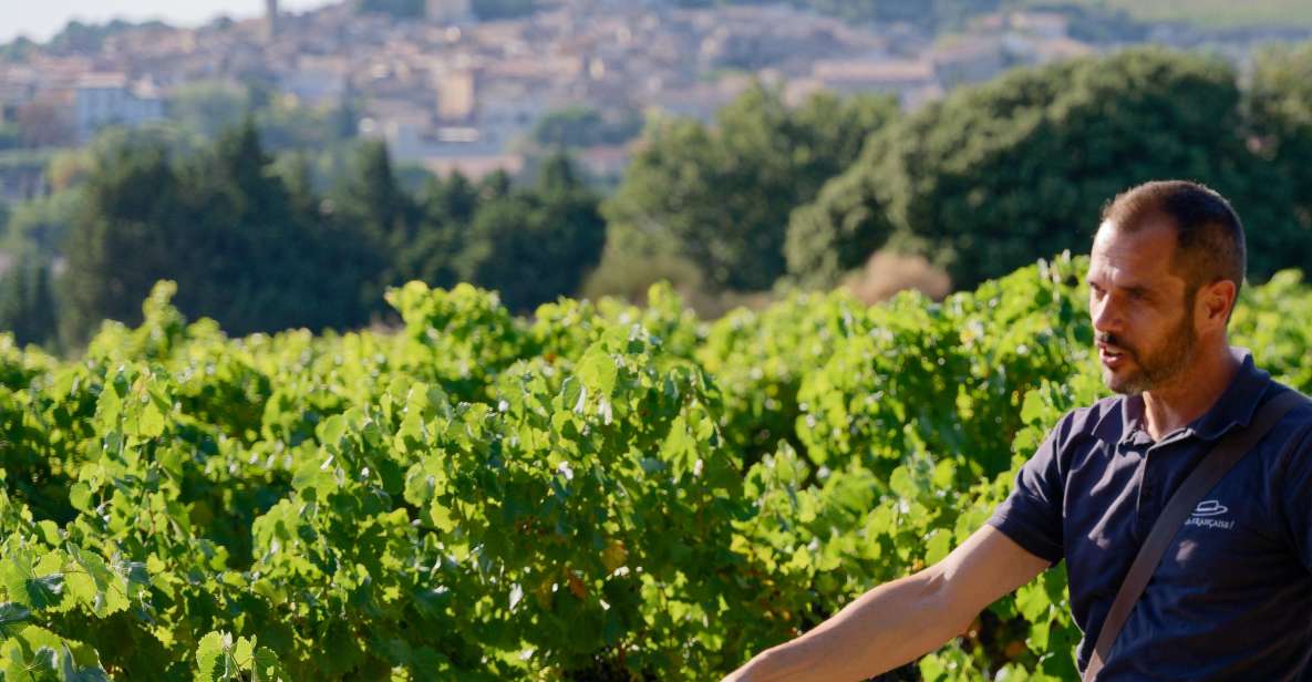 From Avignon: Afternoon Wine Tour Châteauneuf Du Pape - Booking Details