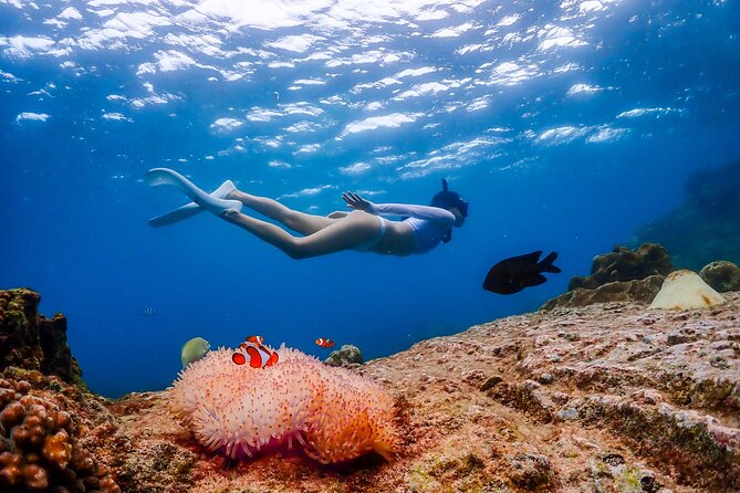 From Bangkok: Nemo Island Experience With Lunch and Drone Photos - Drone Photography