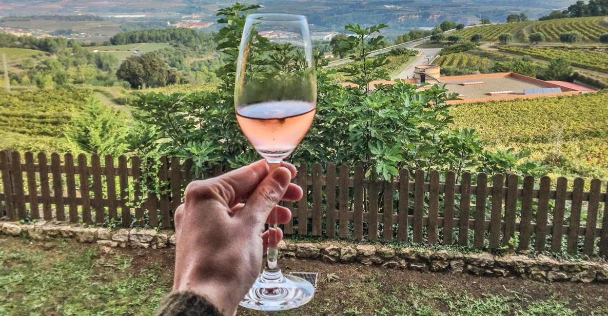 From Barcelona: Montserrat Lunch & Wine Tasting in Vineyard - Experience Highlights