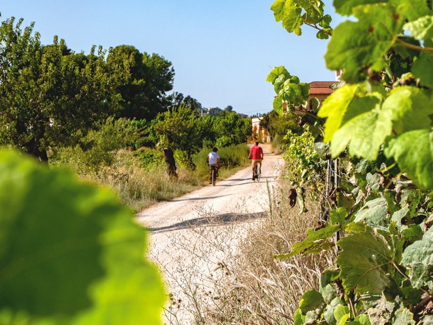 From Barcelona: Penedès E-Bike Tour With 2 Winery Visits - Experience Highlights