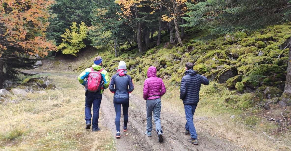 From Barcelona: Small-Group Pyrenees Hike & Medieval Village - Highlights of the Activity