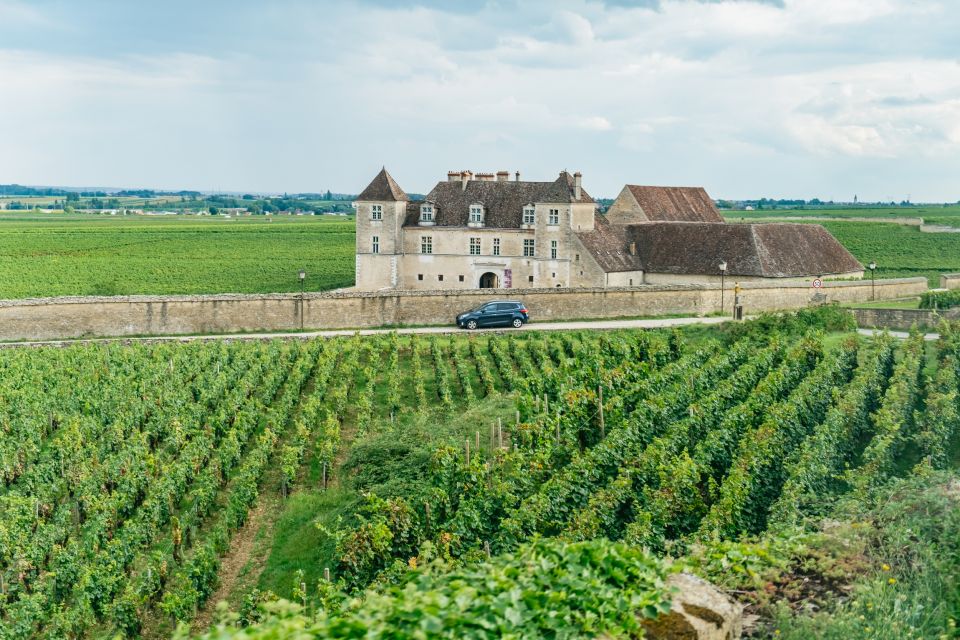 From Beaune: Burgundy Day Trip With 12 Wine Tastings - Travel in Air-Conditioned Minivan