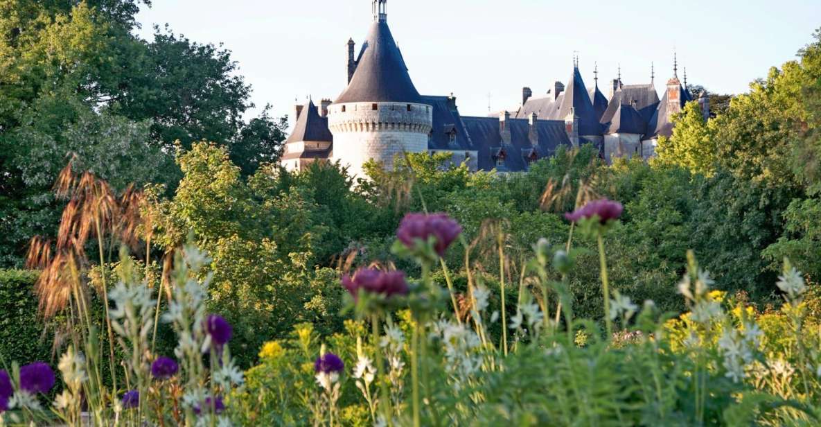 From Blois: Chaumont-sur-Loire, Nature, Wine And History - Highlights