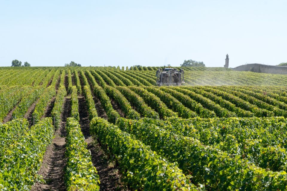 From Bologna: Franciacorta Lunch and Wine Tasting - Booking Information