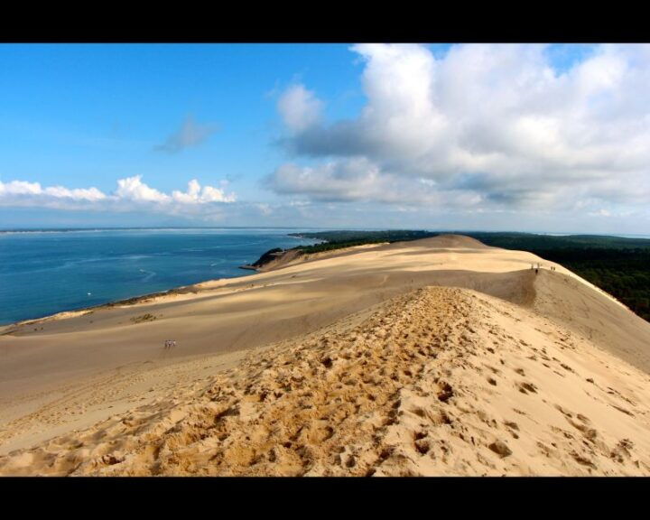 From Bordeaux: Arcachon Bay Afternoon and Seafood - Itinerary Highlights