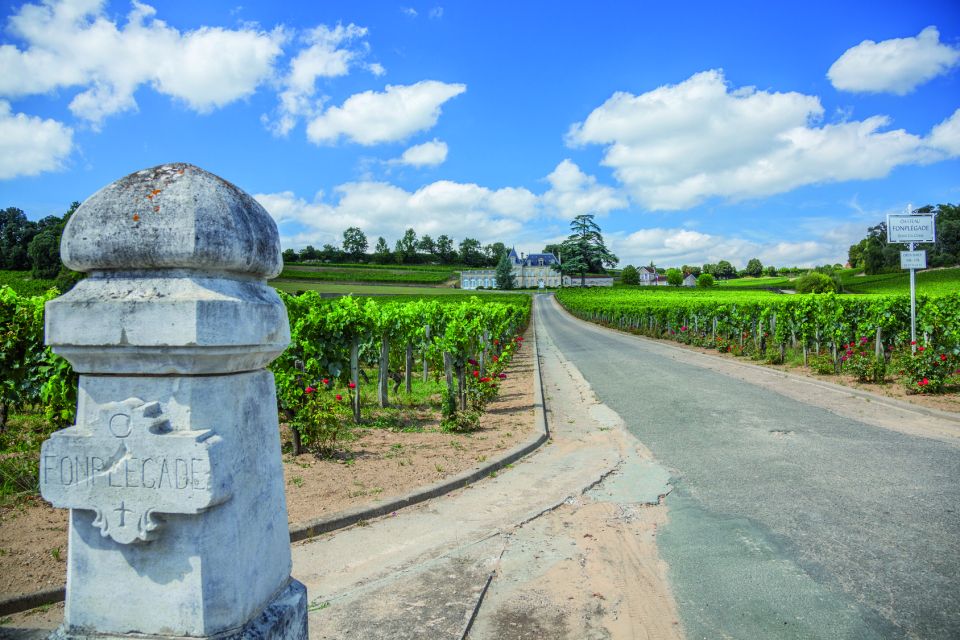 From Bordeaux: Full-Day St Emilion Wine Tasting Tour - Tour Highlights