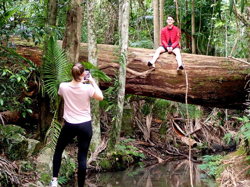From Brisbane: Maiala Rainforest Private Tour - Highlights
