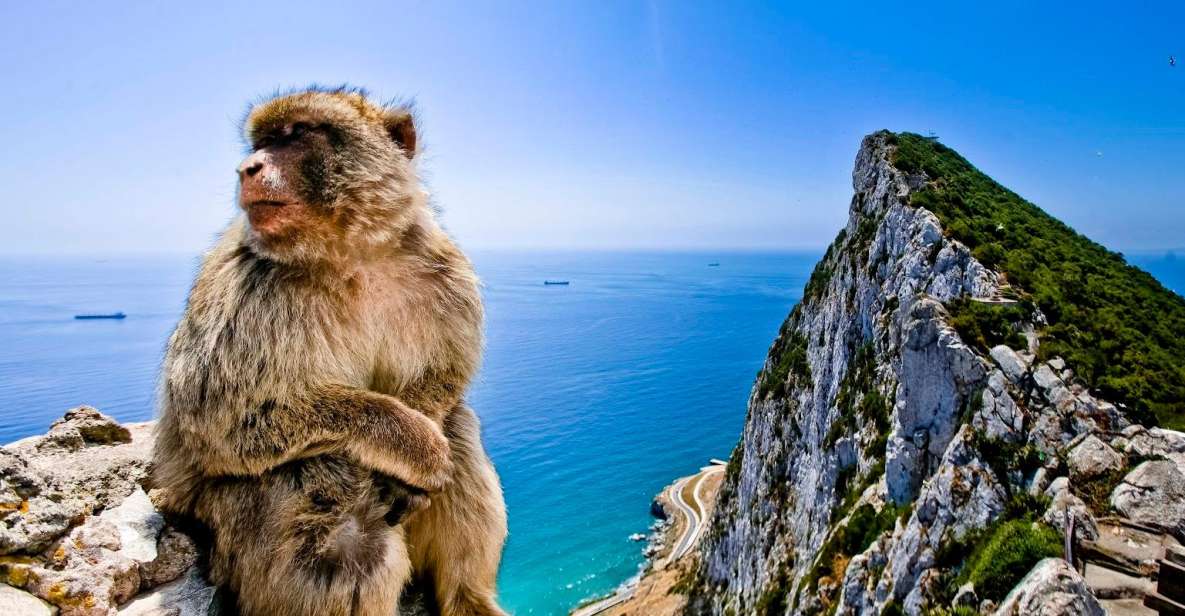 From Cádiz: Private Day Trip to Gibraltar & Vejer Tour - Services and Options Available