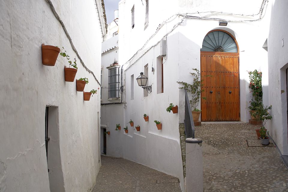 From Cadiz: Private White Villages and City Guided Tour - Pickup and Accessibility Details