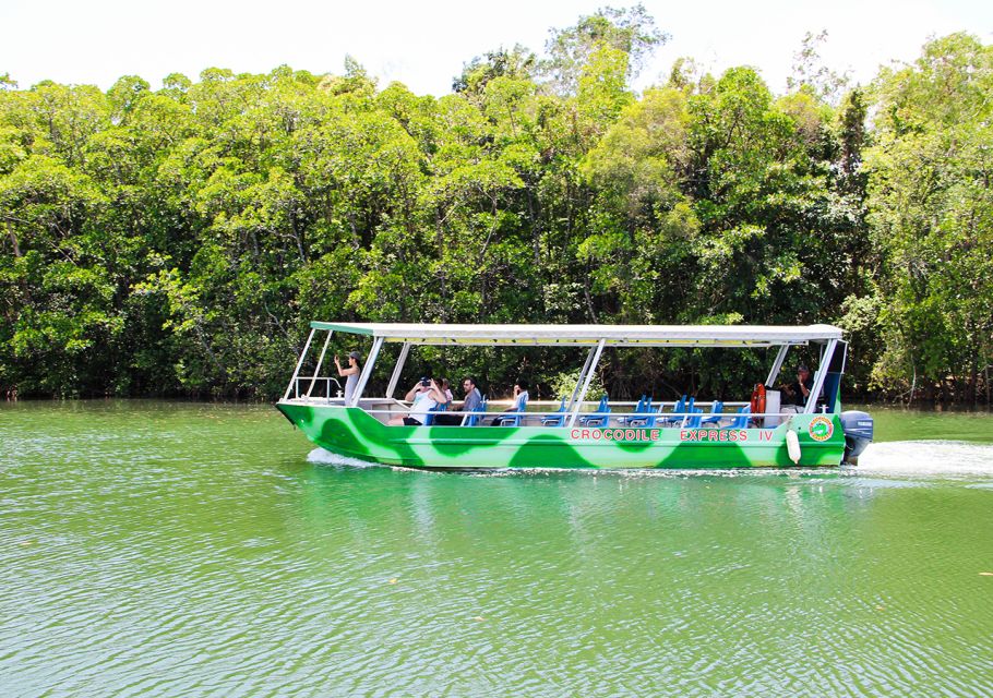 From Cairns: Daintree Wilderness & Cape Tribulation Bus Tour - Tour Highlights