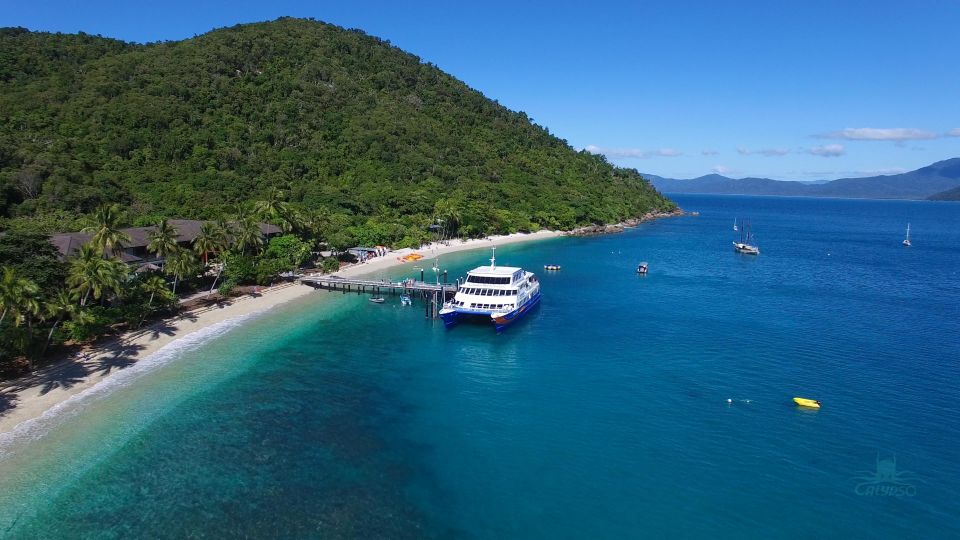 From Cairns: Fitzroy Island Round Trip Boat Transfers - Experience Highlights