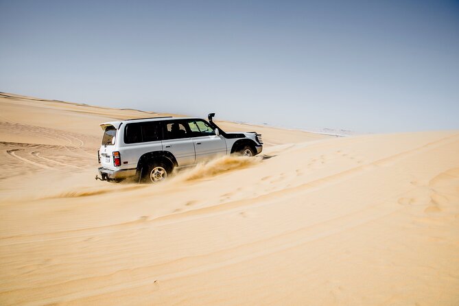 From Cairo: Desert Safari, Sandsurf, Camel, Magic Lake & Lunch - Customer Feedback and Testimonials