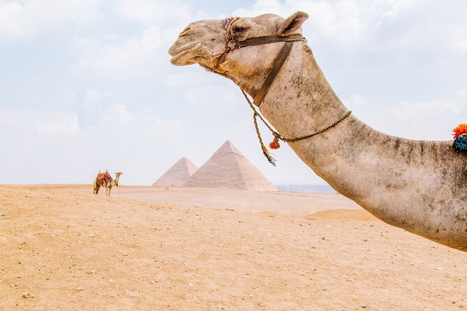 From Cairo: Private Crowd Free Half Day Pyramids Adventure - Additional Information