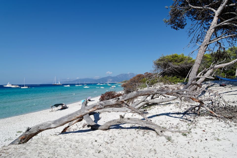 From Calvi: Agriate Guided Jeep Tour to Lotu and Saleccia - Small Group Limit and Pickup Details