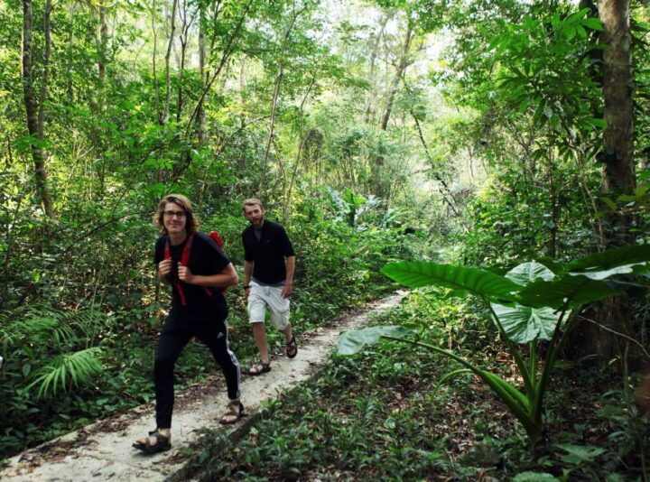 From Cat Ba Island:National Park Full Day Trekking& Kayaking - Spot Rare Wildlife Along the Way