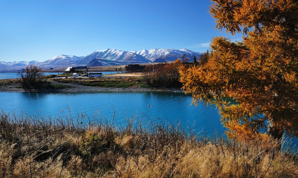 From Christchurch: Guided Day Trip to Queenstown Via Mt Cook - Activity Highlights