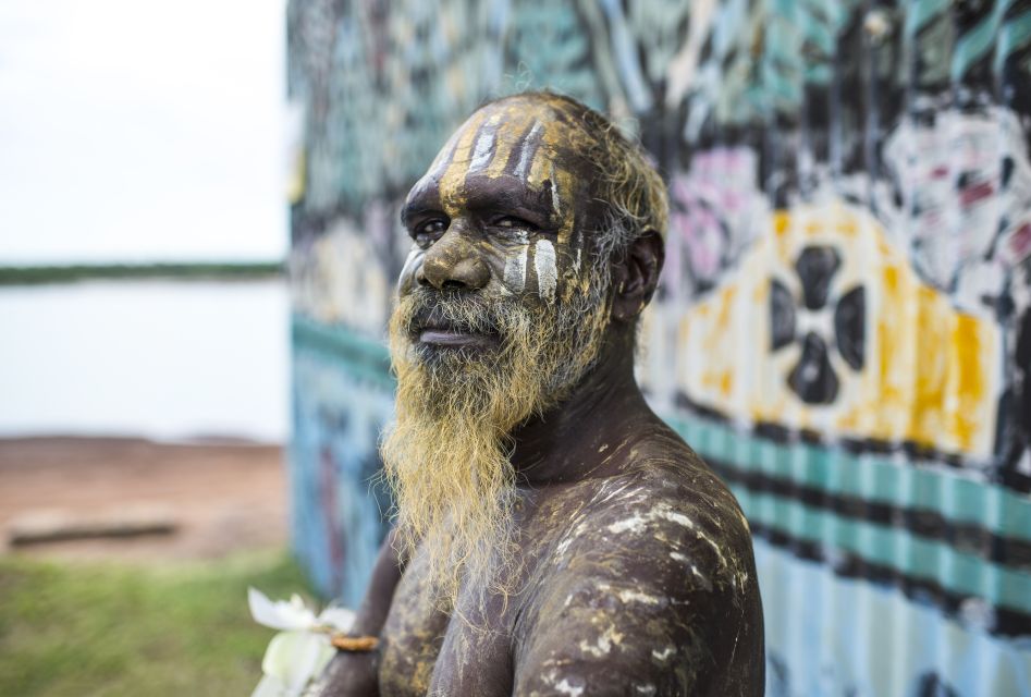 From Darwin: Tiwi Islands Cultural Day Tour by Ferry - Experience Highlights