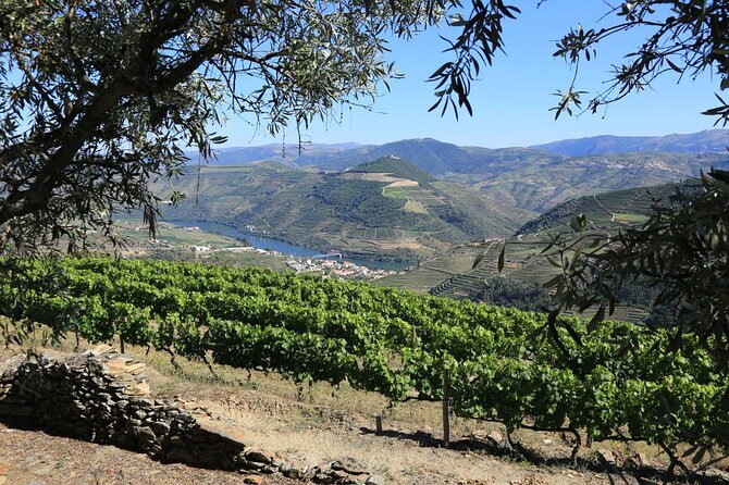 From Favaios to Pinhão Walking Tour - Port Tasting at Crofts Quinta Da Roeda