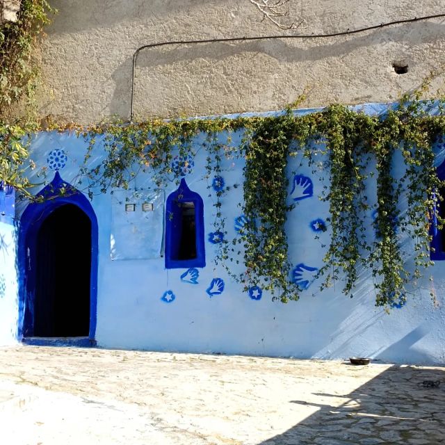 From Fez : Memorable Day Trip to Chefchaouen the Blue City - Inclusions and Services Provided