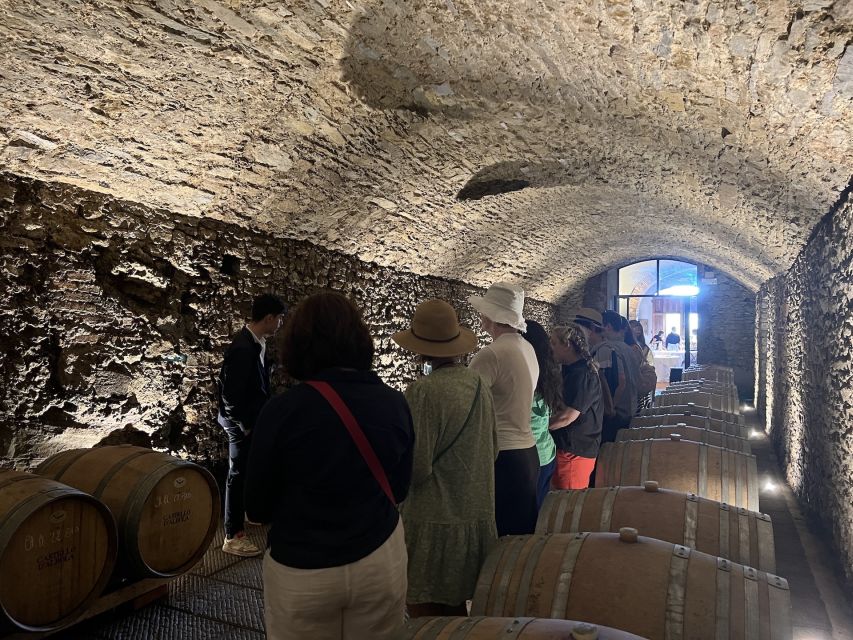 From Florence: Chianti Visit to 3 Cellars W/Lunch&Transfer - Itinerary