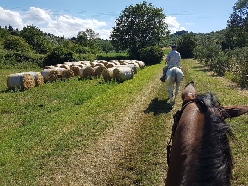 From Florence: Horseback Ride and Olive Oil Tour With Lunch - Price and Duration