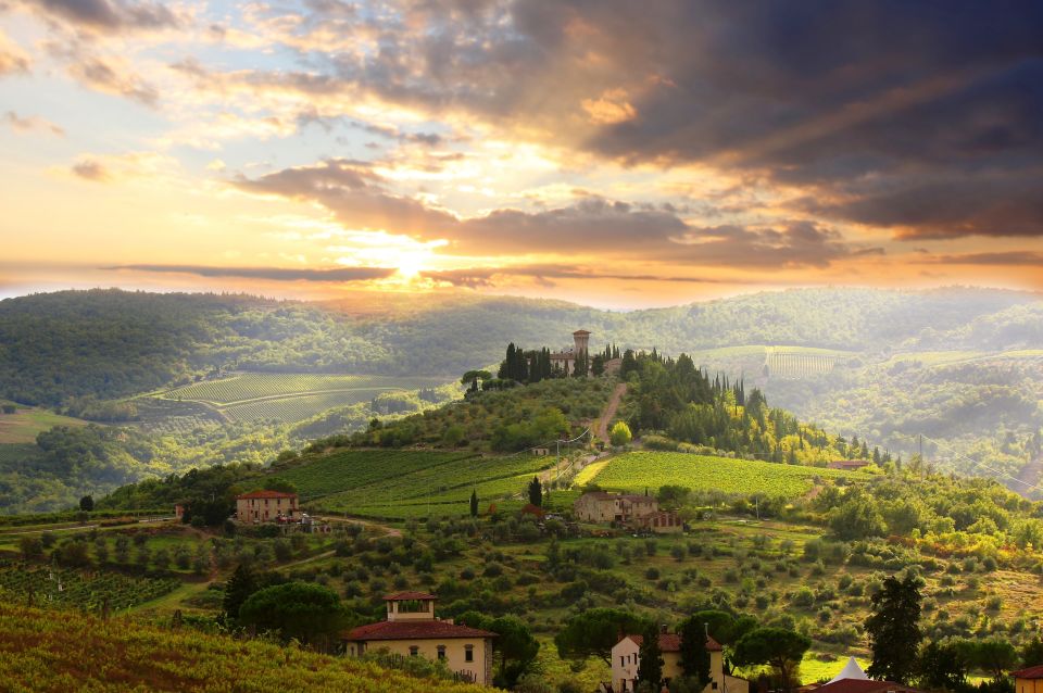 From Florence: Private Wine Tour With Dinner on an Estate - Tour Experience