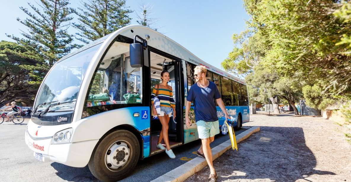 From Fremantle: Rottnest Island Ferry & Bus Day Tour - Tour Experience