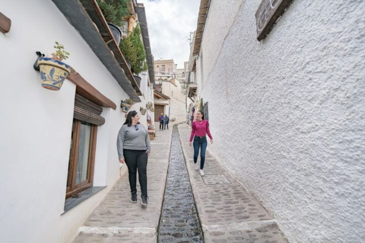 From Granada: Alpujarra Villages Guided Day Tour - Live Tour Guides and Language Options