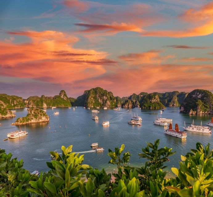 From Hanoi: 1 Day Halong Bay Cruise Tour With Limousine Bus - Inclusions and Pricing Details