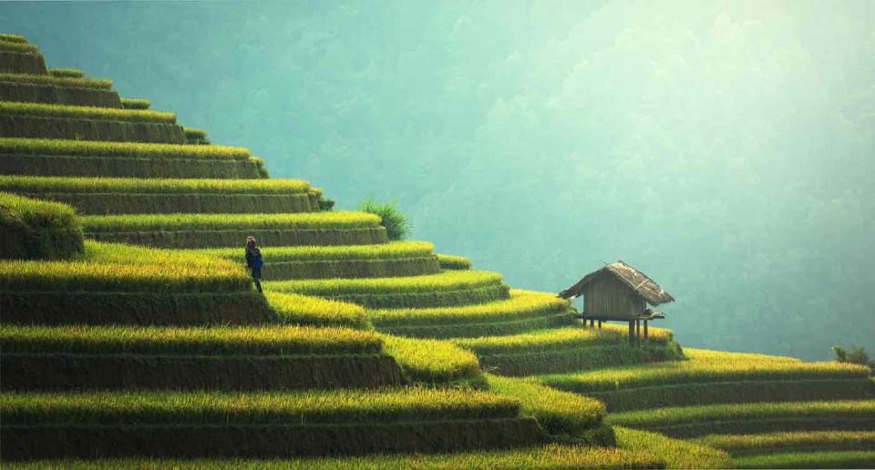 From Hanoi: 2D1N Sapa Trekking by VIP Sleeper Bus - Booking Options and Guide Service