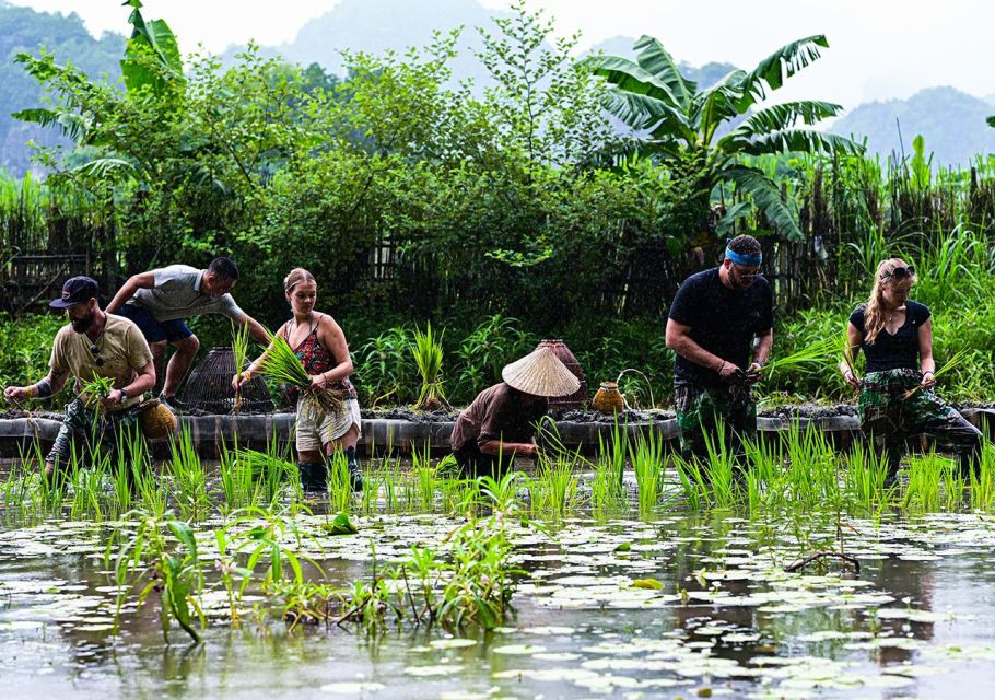 From Hanoi: Trang An, Mua Cave, Buffalo Cave 2-Day Tour - Tour Activities