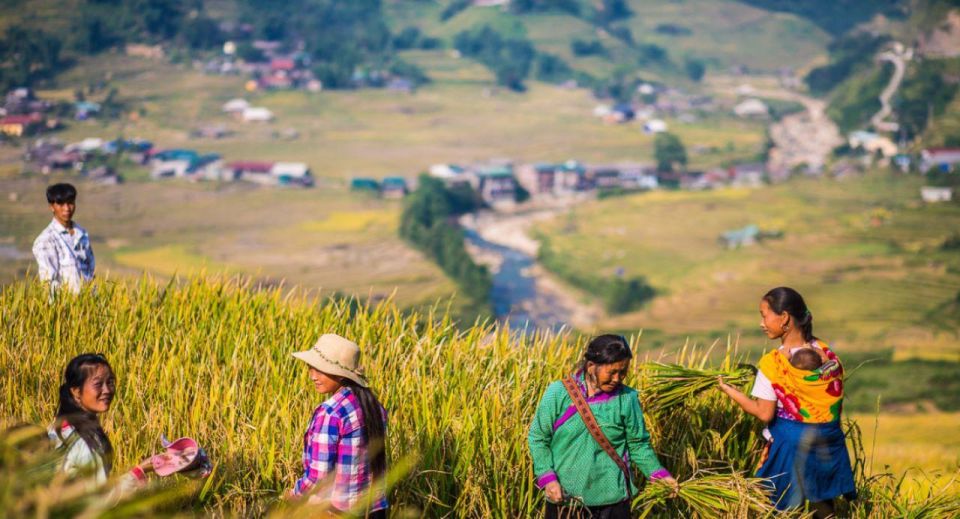 From Hanoi: Trek and Stay: 3-Day Sapa Highlands Adventure - Highlights of the Adventure