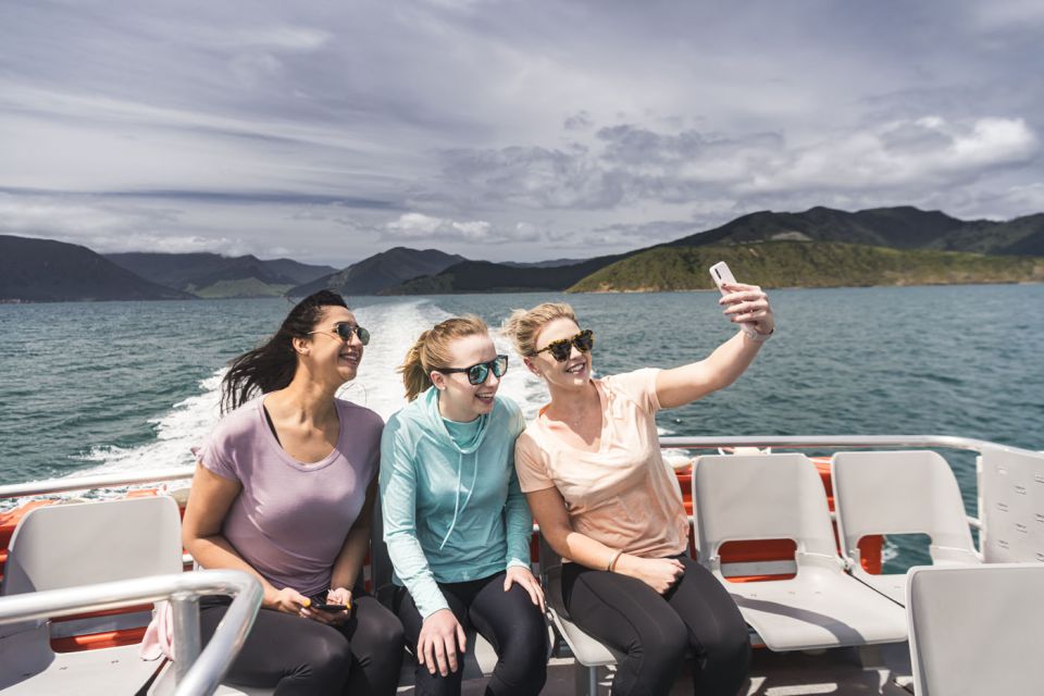 From Havelock: Marlborough Sounds Mail Boat Full-Day Cruise - Experience Highlights