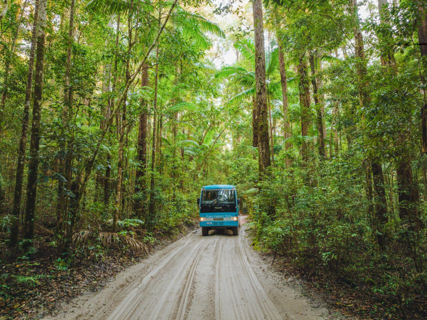 From Hervey Bay: K'gari, Fraser Island Two-Day Coach Tour - Experience Highlights