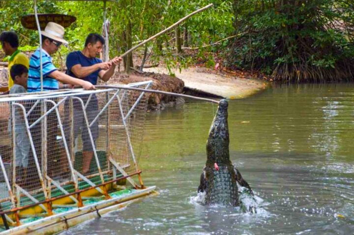 From Ho Chi Minh: Can Gio Mangrove Forest & Monkey Island - Tour Description