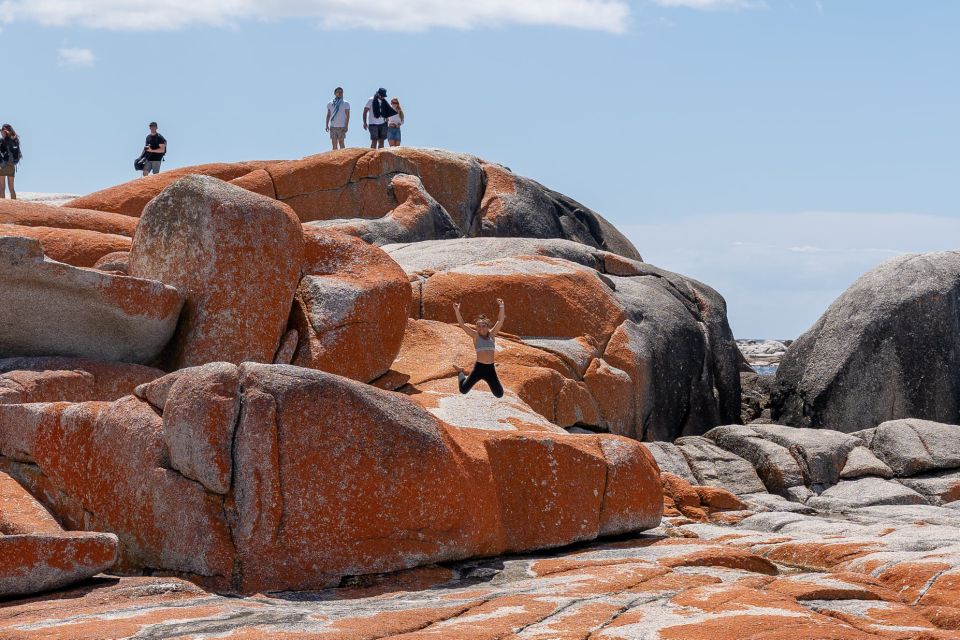 From Hobart: 5-Day Tasmania West & East Coast Tour - Live Tour Guide and Small Groups