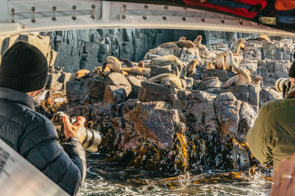 From Hobart/Adventure Bay: Bruny Island Wilderness Cruise - Inclusions