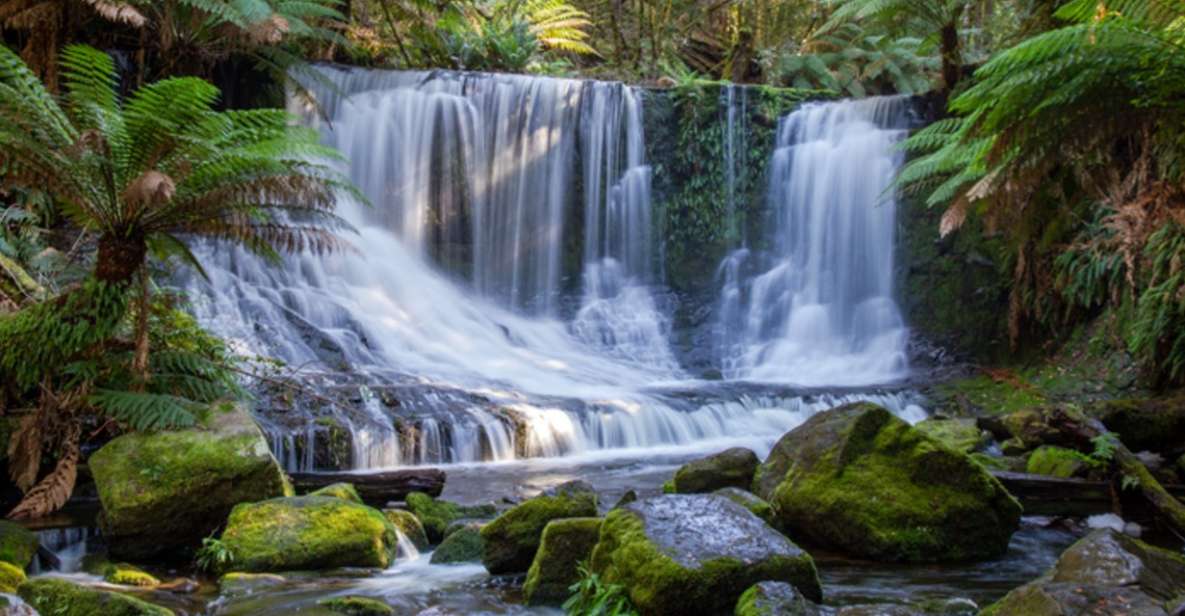 From Hobart: Mt. Field National Park and Russell Falls - Itinerary
