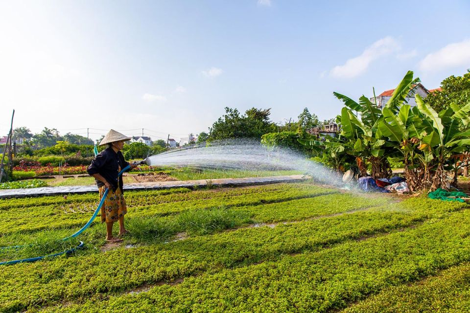 From Hoi An: Half-Day Tra Que Vegetable Village Bike Tour - Activity Highlights