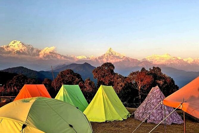 From Kathmandu:4 Days Camping Trek to Australian Camp and Dhampus - Review Insights